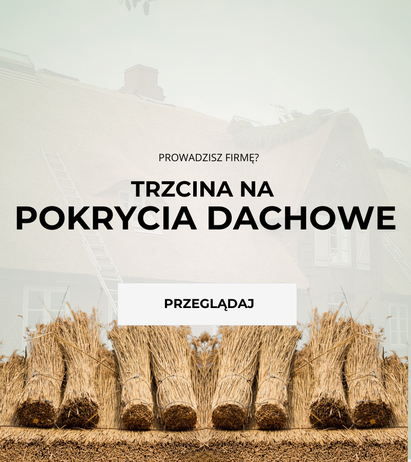 trzcina na dach