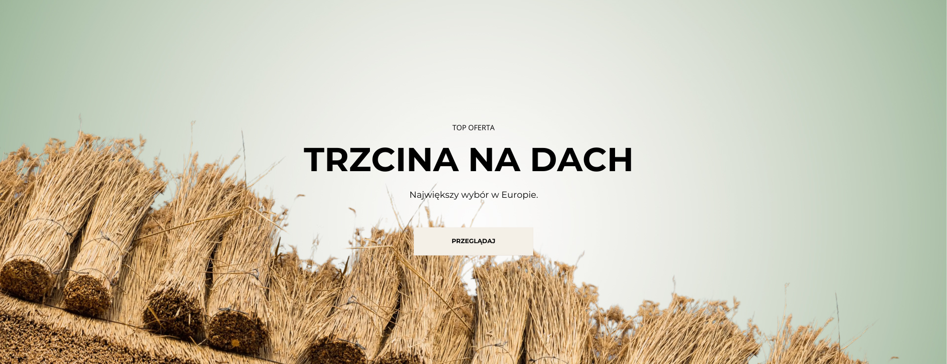trzcina na dach