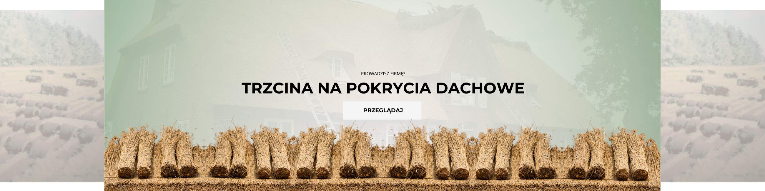 trzcina na pokrycia dachowe